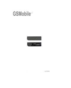 Rejilla auricular iPhone 5/5C/5S